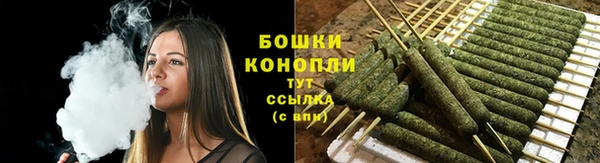 гашик Осташков
