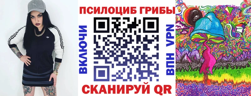 Галлюциногенные грибы прущие грибы  Темников 