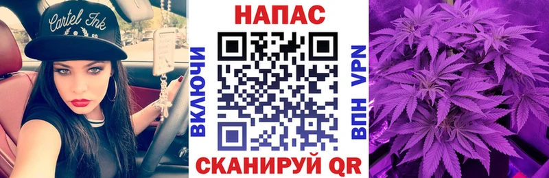 как найти наркотики  Темников  МАРИХУАНА планчик 
